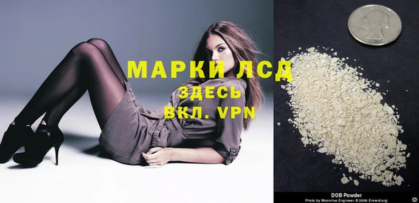 прущие грибы Арсеньев
