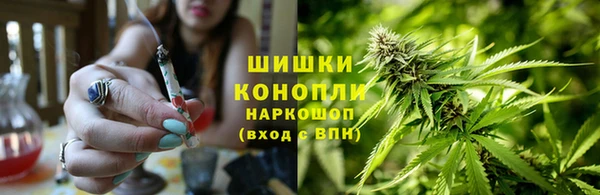 прущие грибы Арсеньев
