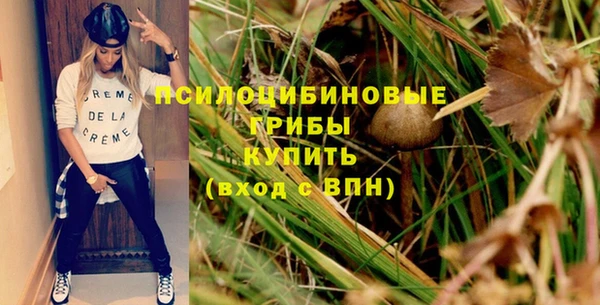 прущие грибы Арсеньев